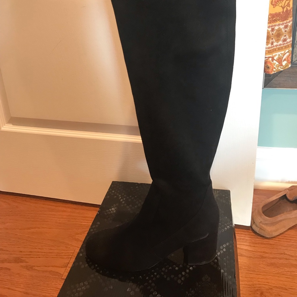 Knee High Suede Boots. Worn Twice!